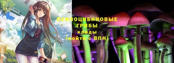 герыч Аркадак