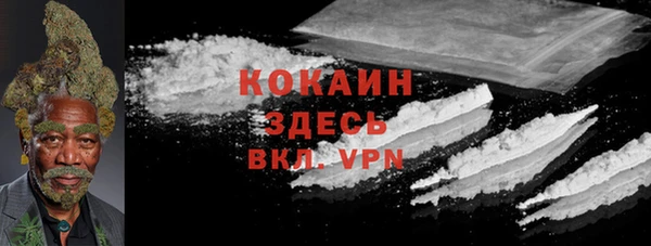 прущие грибы Арсеньев