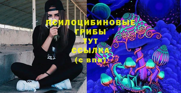 прущие грибы Арсеньев