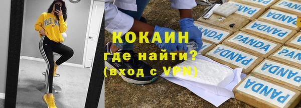 прущие грибы Арсеньев