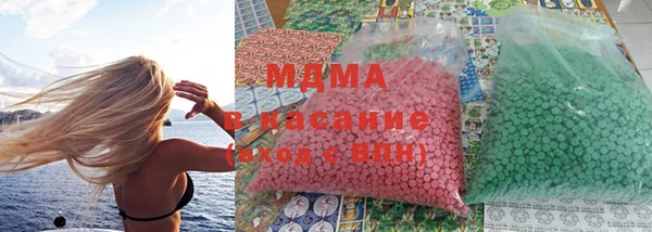 прущие грибы Арсеньев