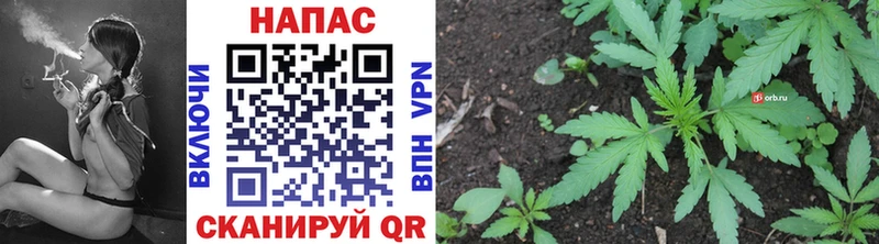где найти наркотики  Сортавала  даркнет телеграм  Каннабис Bruce Banner  mega как войти 